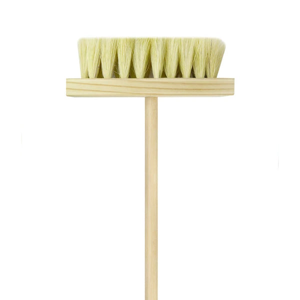 CEPILLO DE IXTLE CON MANGO PARA IMPERMEABILIZAR 10" BYP CIX10010N