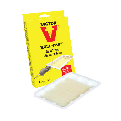 TRAMPA BANDEJA CHICA ENGOMADA PARA RATON (4 PIEZAS)(CHAROLA) VICTOR VIC668TRI